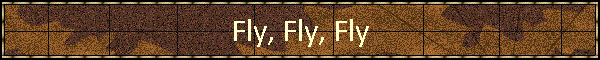 Fly, Fly, Fly